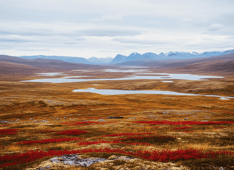 Bjørnfjell Plateau – Arctic Highlands Above the Border