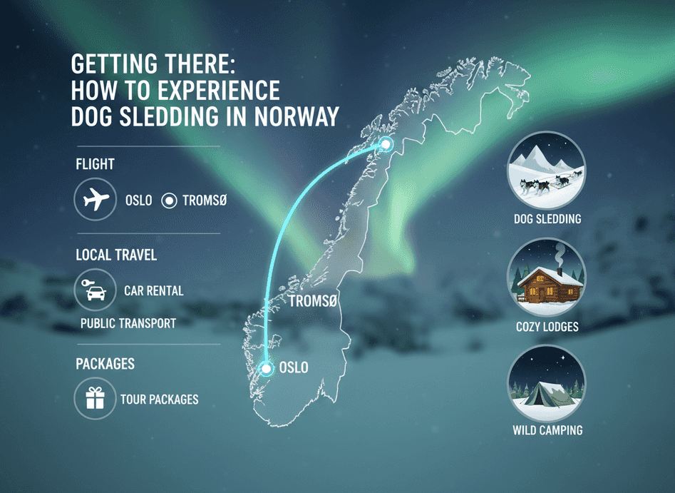 Cómo Llegar: Cómo Experimentar el Paseo en Trineo de Perros