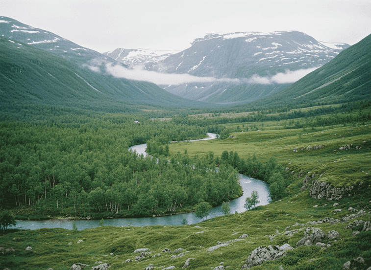 Inner Junkerdalen – Where the Forest Becomes Alpine