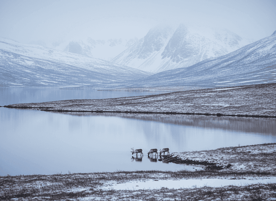 Northern Kattfjordvatnet – Arctic Stillness Beyond the Road