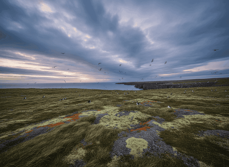 Varanger Coastal Tundra – Where Land Becomes Arctic Ocean