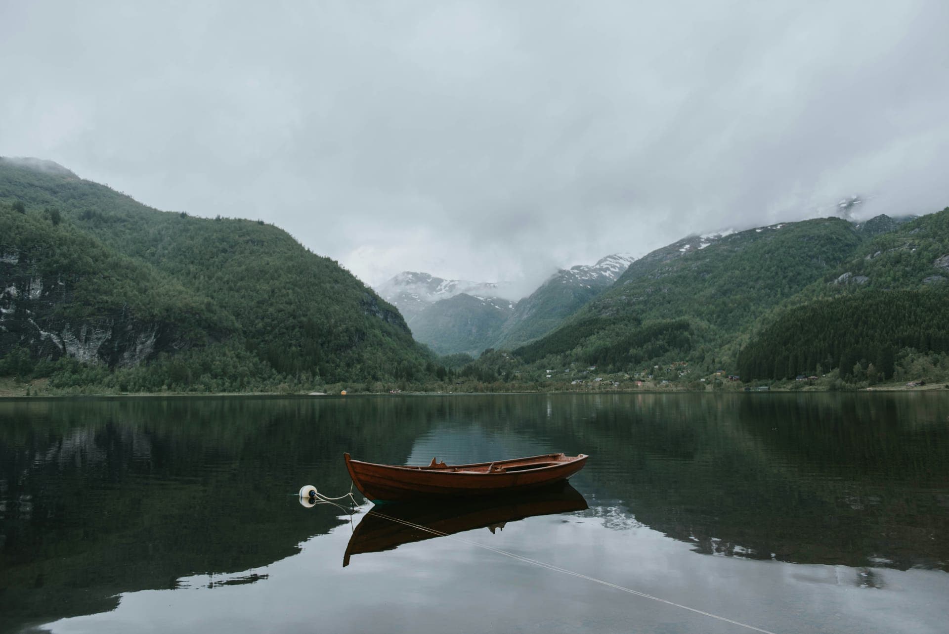 Hardangerfjord Sea Trout